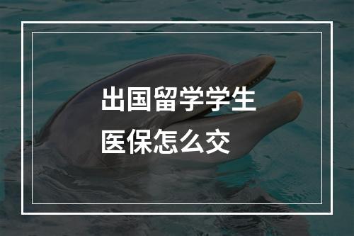 出国留学学生医保怎么交