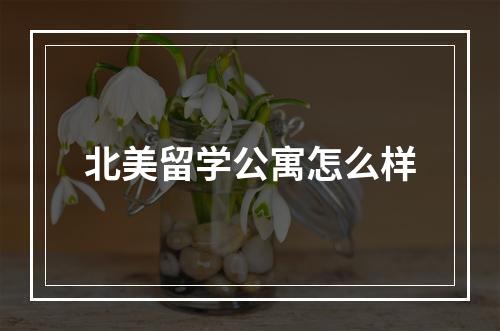 北美留学公寓怎么样