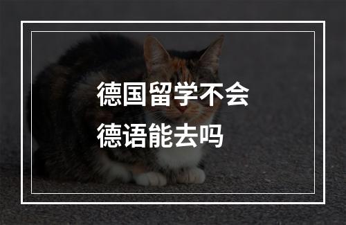 德国留学不会德语能去吗