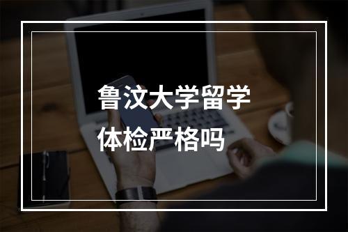 鲁汶大学留学体检严格吗