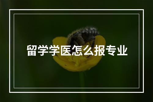 留学学医怎么报专业