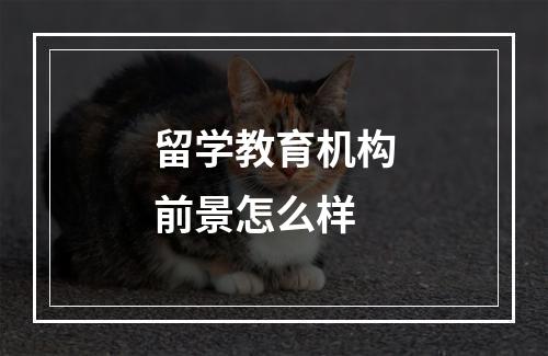 留学教育机构前景怎么样