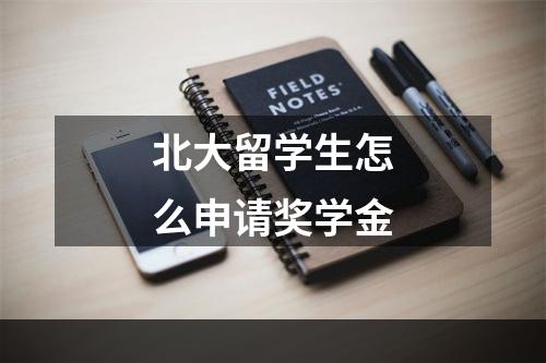 北大留学生怎么申请奖学金