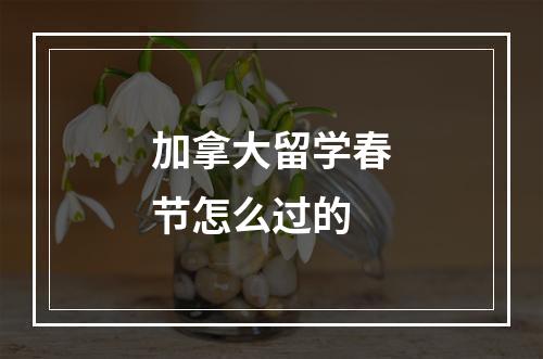 加拿大留学春节怎么过的