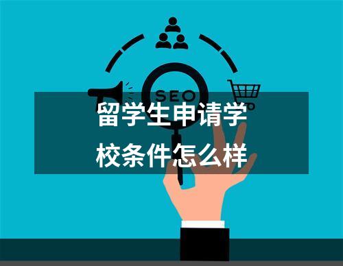 留学生申请学校条件怎么样