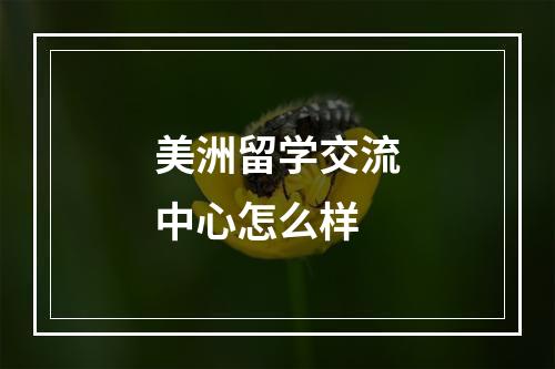 美洲留学交流中心怎么样