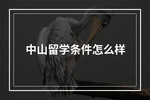 中山留学条件怎么样