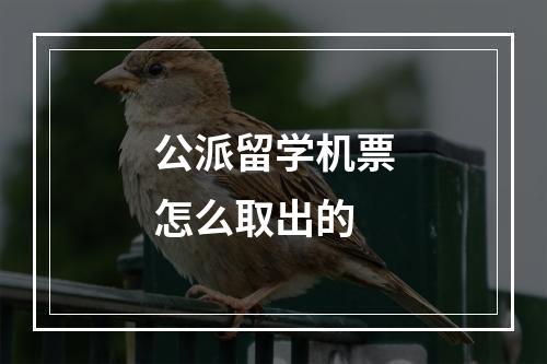 公派留学机票怎么取出的