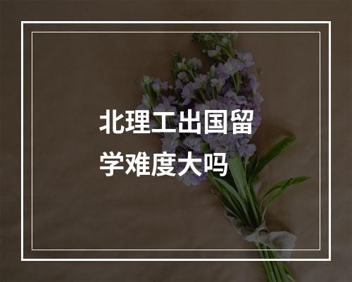 北理工出国留学难度大吗