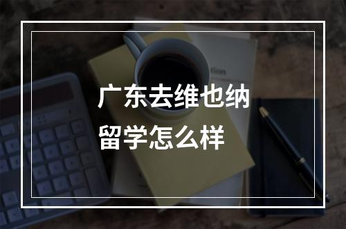 广东去维也纳留学怎么样