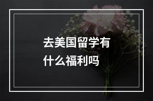 去美国留学有什么福利吗