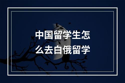 中国留学生怎么去白俄留学