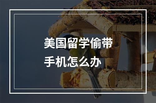 美国留学偷带手机怎么办