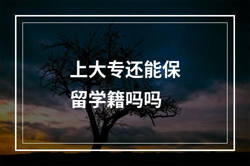 上大专还能保留学籍吗吗