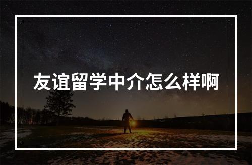 友谊留学中介怎么样啊