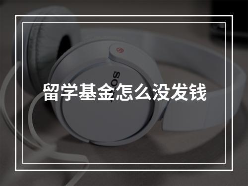 留学基金怎么没发钱