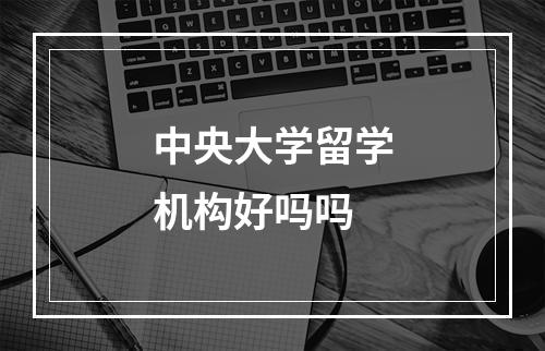 中央大学留学机构好吗吗