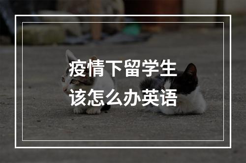 疫情下留学生该怎么办英语