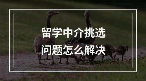 留学中介挑选问题怎么解决