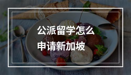 公派留学怎么申请新加坡