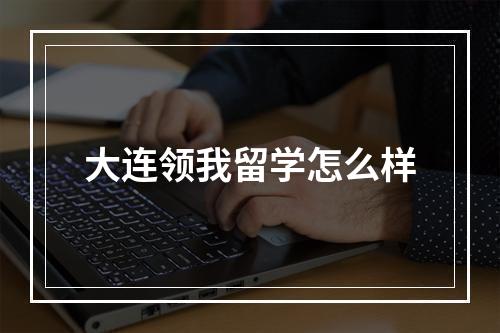 大连领我留学怎么样