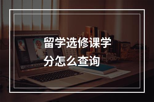 留学选修课学分怎么查询