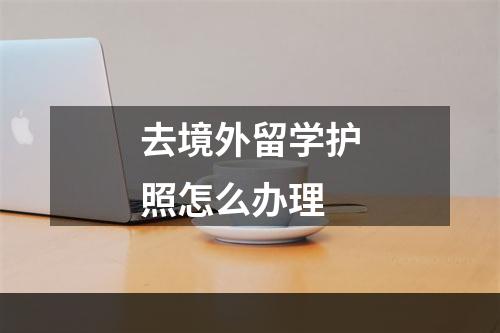 去境外留学护照怎么办理