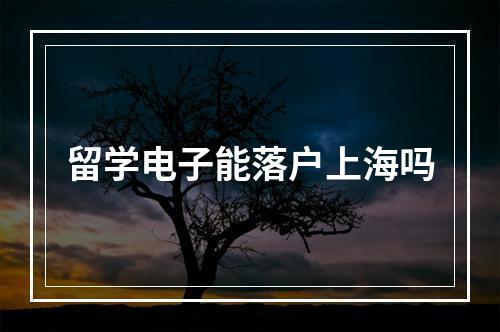 留学电子能落户上海吗