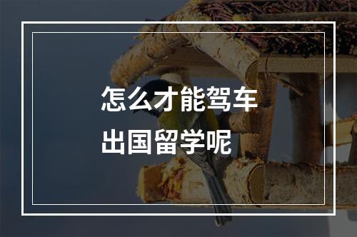 怎么才能驾车出国留学呢