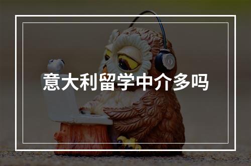 意大利留学中介多吗