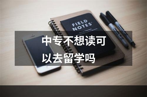 中专不想读可以去留学吗