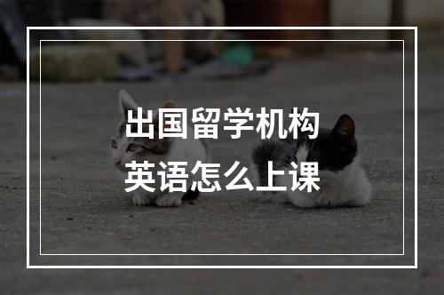 出国留学机构英语怎么上课