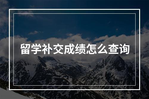 留学补交成绩怎么查询