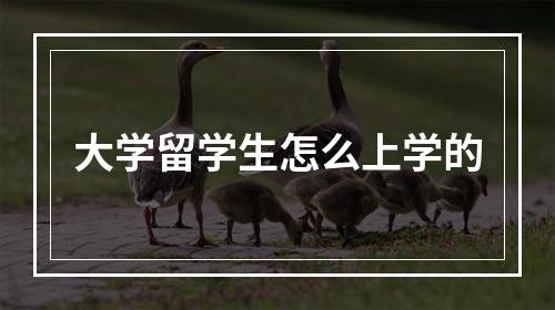 大学留学生怎么上学的