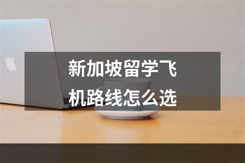 新加坡留学飞机路线怎么选