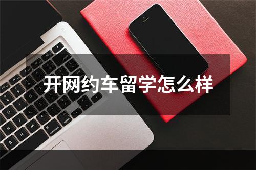 开网约车留学怎么样