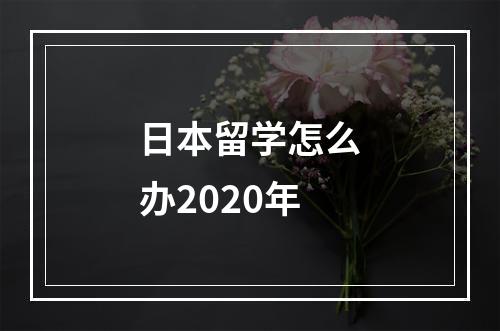 日本留学怎么办2020年