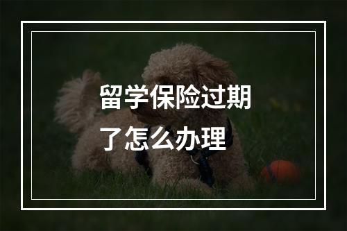 留学保险过期了怎么办理