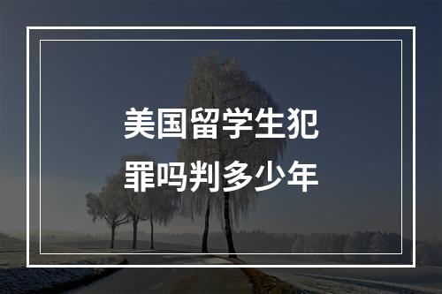 美国留学生犯罪吗判多少年