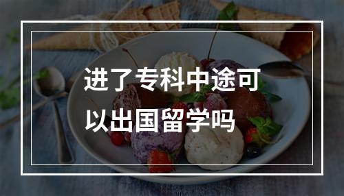 进了专科中途可以出国留学吗