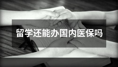 留学还能办国内医保吗