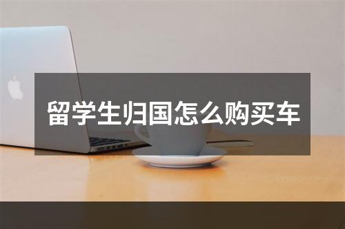 留学生归国怎么购买车