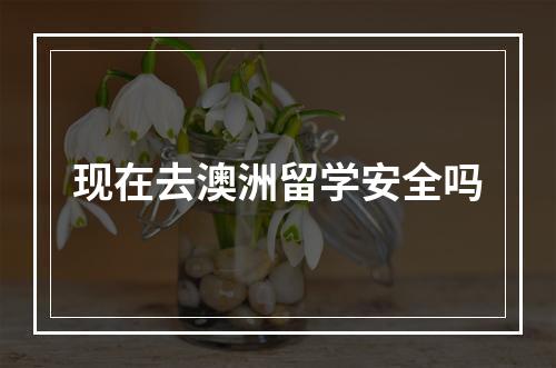 现在去澳洲留学安全吗