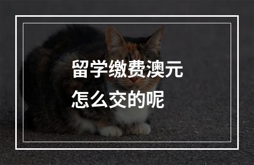 留学缴费澳元怎么交的呢