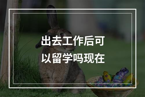 出去工作后可以留学吗现在