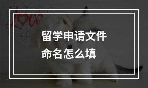 留学申请文件命名怎么填