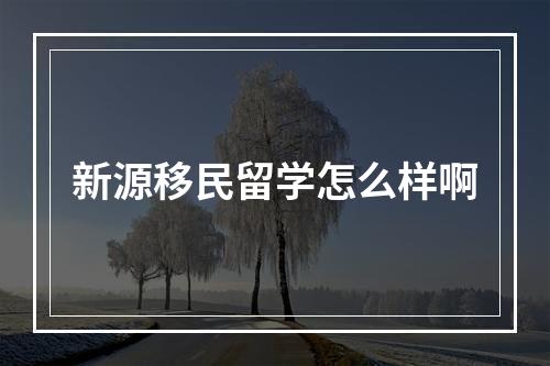 新源移民留学怎么样啊