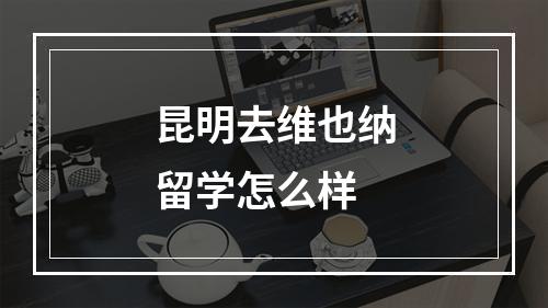 昆明去维也纳留学怎么样