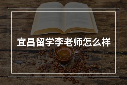 宜昌留学李老师怎么样