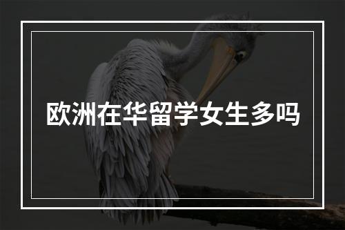 欧洲在华留学女生多吗